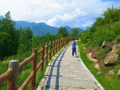 -白水寺森林公园