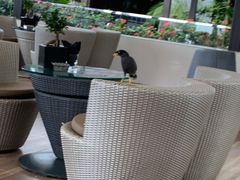 -新加坡文华东方酒店