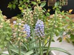 -艾溪湖湿地公园