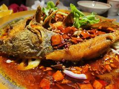 -吃城都·鱼蛙火锅(西玉龙街店)