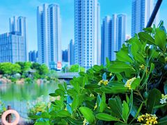 -光明港公园