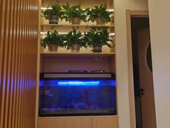 -智慧盲人按摩艾灸-颈肩腰膝疼痛调理(浦东店)