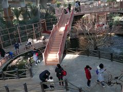 -南宫五洲植物乐园