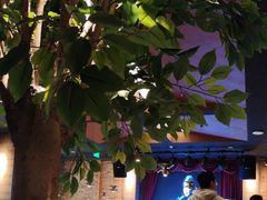-同仁四季椰子鸡(无锡滨湖万象汇店)