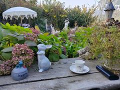 -荒度咖啡(北九水店)