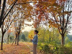 -白鹭湾湿地公园