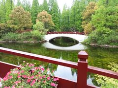 -东平国家森林公园