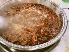 -麻辣巅峰美蛙鱼头火锅(犀浦店)