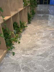 点击看大图 -碧莲盛·不剃发植发