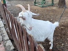 -清风小镇闯关东影视基地