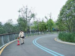 -飞凤山奥体公园