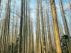 -上海怡沁园度假酒店