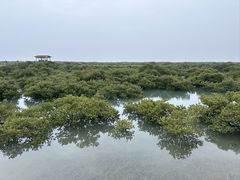 -北海金海湾红树林生态旅游区