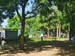 -府君山公园