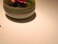 -悦轩中餐厅·高空江景·杭州柏悦酒店