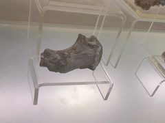 -旅顺博物馆