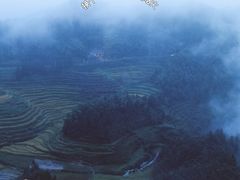 -紫鹊界梯田景区