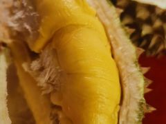 黑金猫山王-都念榴莲·城市榴莲