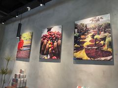 -野鸽子咖啡(中航店)