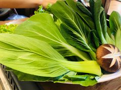 -草原塞蛮羊火锅城(港湾店)