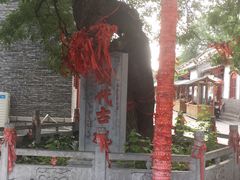 -杨家埠民间艺术大观园