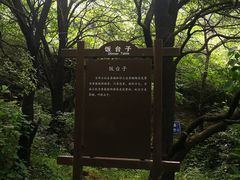 -阳台山自然风景区