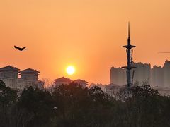 -武汉园博园(武汉自然博物馆)