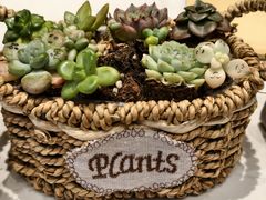 -锦江之星品尚(杭州西湖大道南宋御街店)