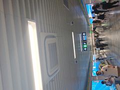 -知春路(地铁站)
