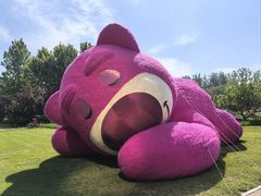 -大望京公园