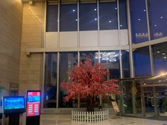 -鲍鱼王子(深圳大厦店)