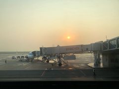 -上海浦东国际机场-T2航站楼