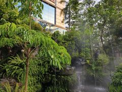-花溪雨·森林餐厅(石基店)