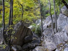 -北京上方山国家森林公园