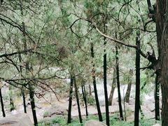 -泰山风景名胜区