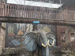 -呀路古热带植物园