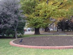 -北海道厅旧本厅舍(旧本庁舎)