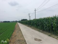 -嘉北郊野公园