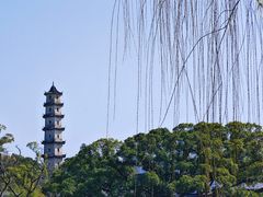 -江心屿景区