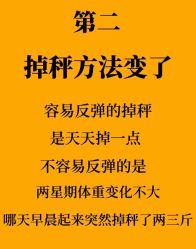 -Fundi张玉珊修身堂·indiba·BTL科技瘦身
