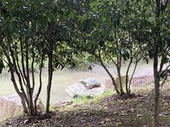 -幕燕滨江·长江观音景区