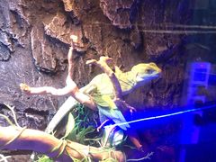 -荆州中山公园动物园