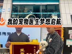 -伟伟宠物医院·瑞派猫友好医院·猫科(光谷店)