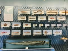 -浙江自然博物院(杭州馆)