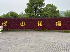 -径山花海