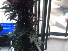 -老船舫·现做活鲜鱼馆(东郊记忆店)