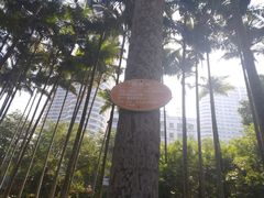 -北海市海滨公园