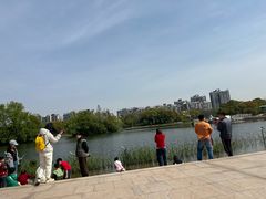 -新江湾城公园