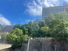 -香港大学