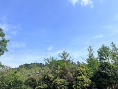 -老君山